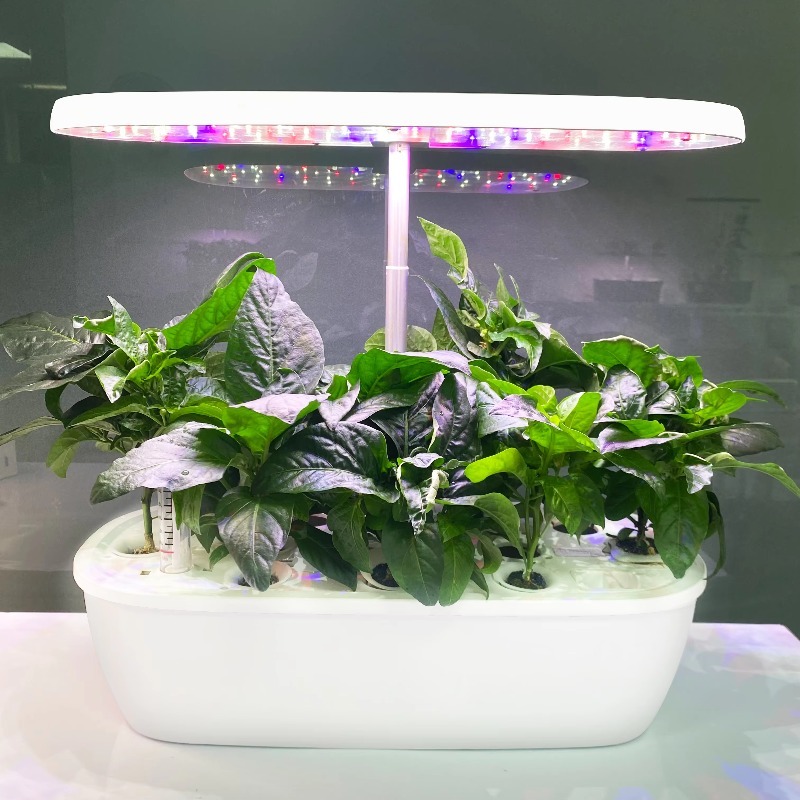 Smart Garden Design - Inteligentny elektroniczny system hydroponiczny do uprawy
