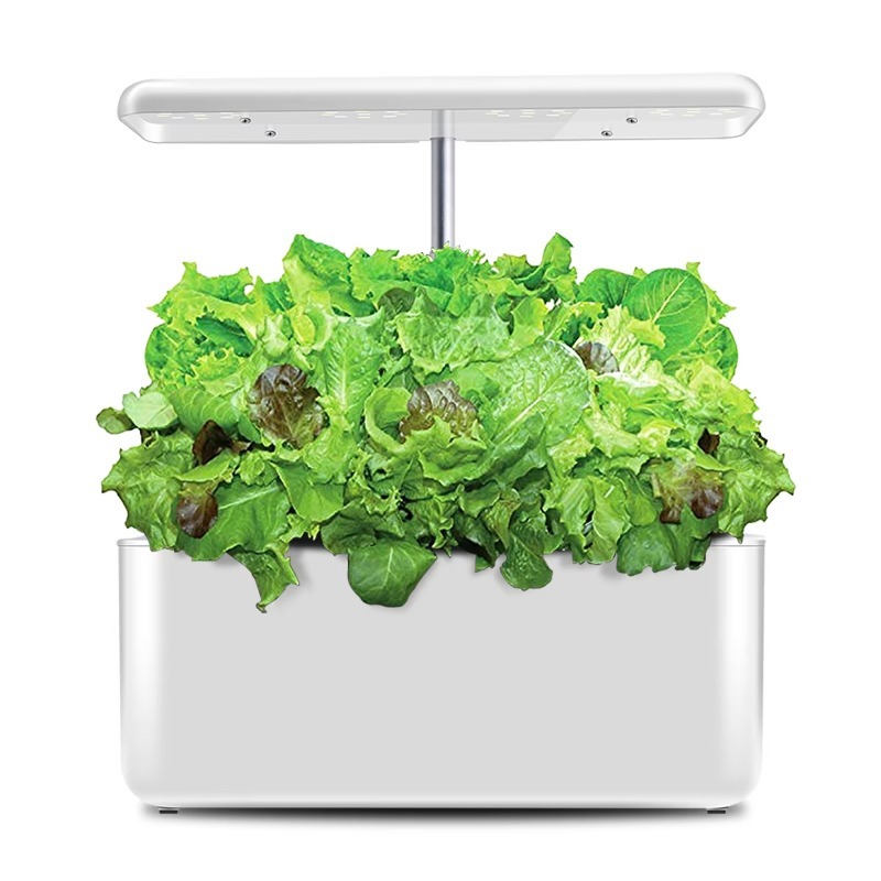 LYX-10 Inteligentne Wewnętrzne – Smart Garden Design recenzja i cena