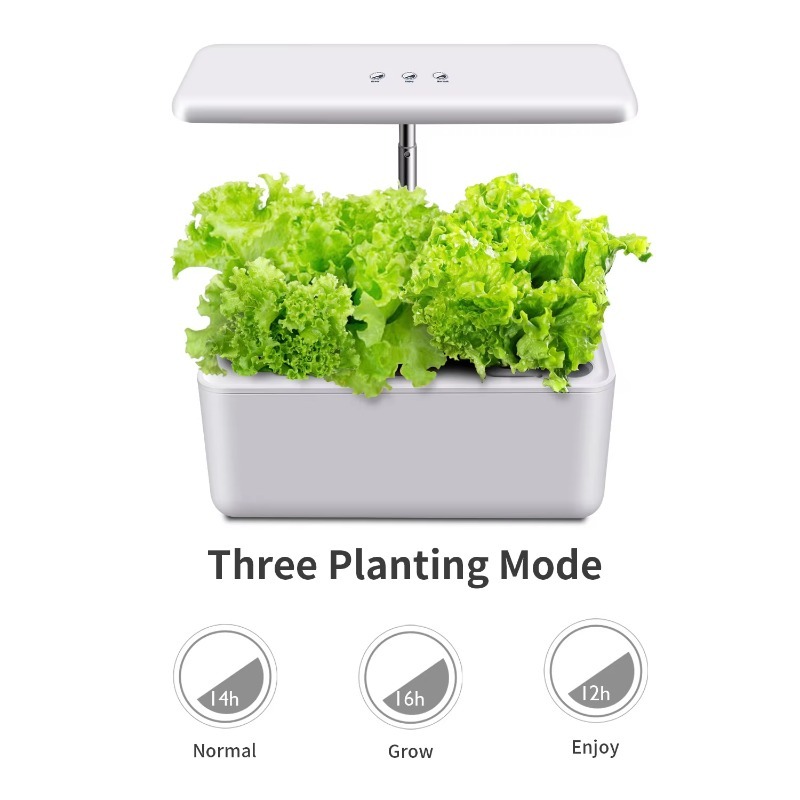 LYX-10 Inteligentne Wewnętrzne – Smart Garden Design recenzja i cena