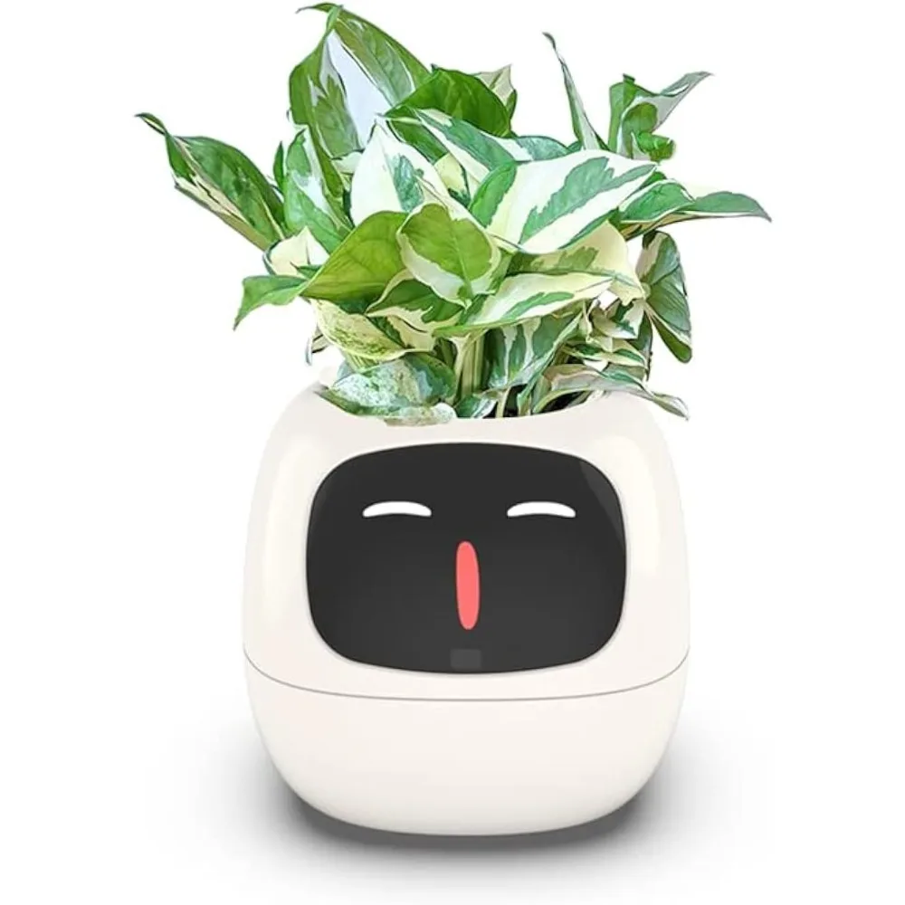 Inteligentna doniczka z chipem – Smart Garden Offices recenzja i cena